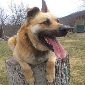 Meet your Posher, Felisha